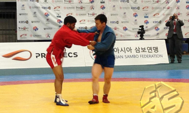 Asian Championship in Seoul: Fedor Emelianenko’s heritage, debutantes’ victories and the famous “Gangnam Style”