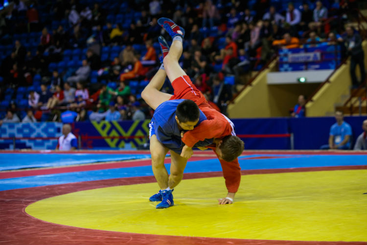 [Online Broadcast] International SAMBO Tournament for the prizes of the President of Belarus