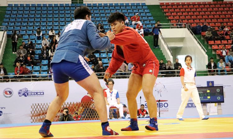 Regulations of the Asian SAMBO Championships and Asian Youth and Junior SAMBO Championships in Lebanon are Published