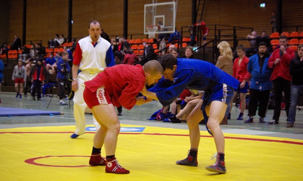 German Sambo Championship took place in Syke