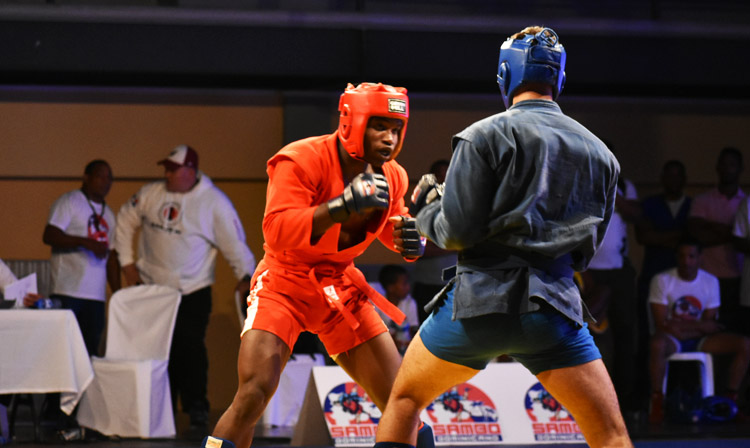 Open SAMBO Cup of the Dominican Republic was held in Santo Domingo