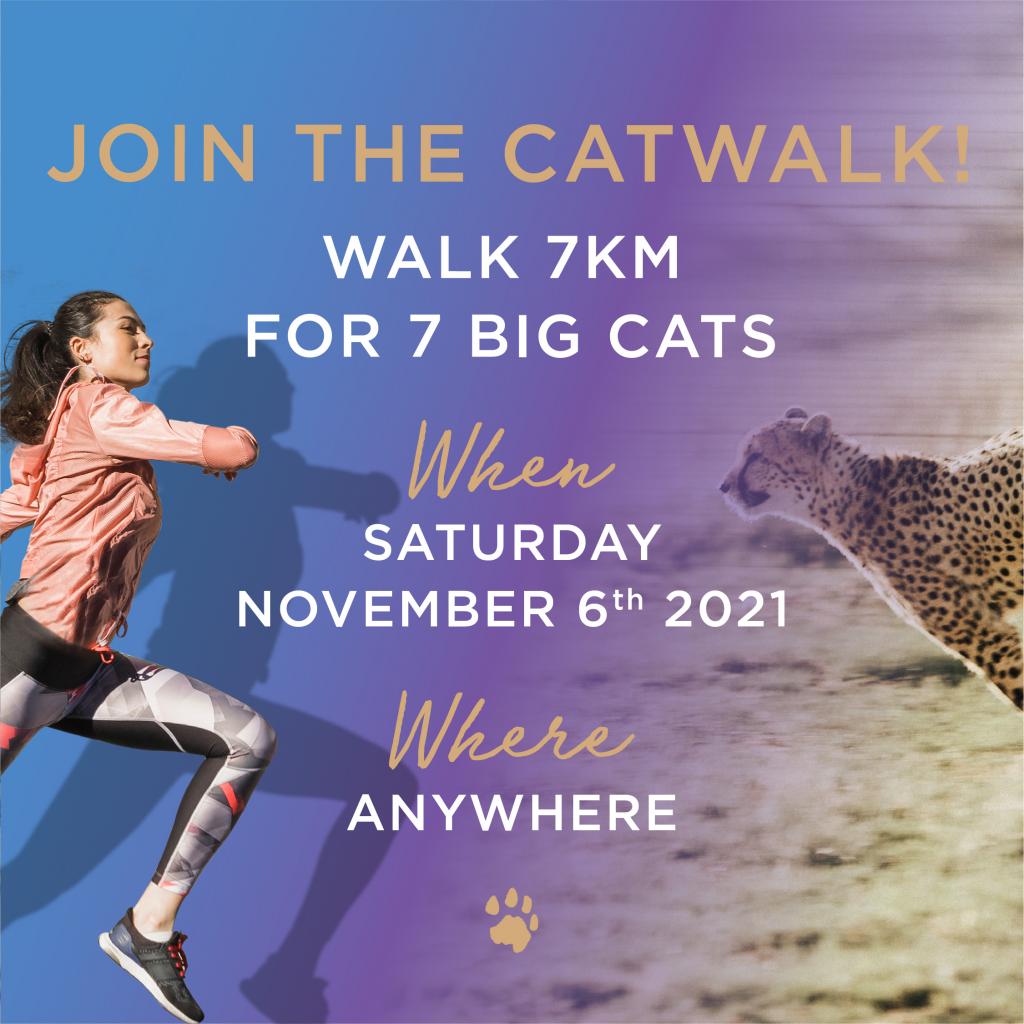 Catwalk Campaign_ENG_01.jpg