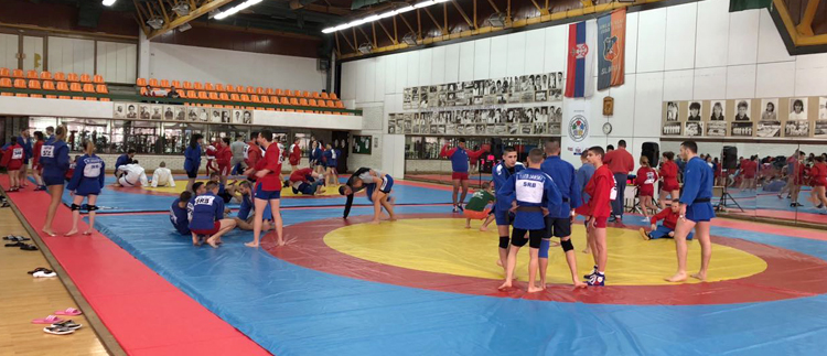 SAMBO Championships of Serbia were Held in Novi Sad