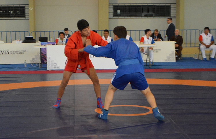 Pan American Cadets, Youth and Junior Sambo Championships Held in Bolivia