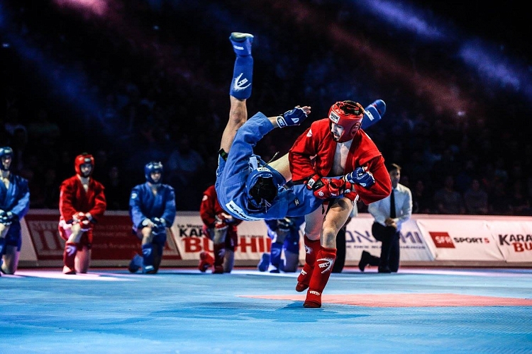 [VIDEO] Demo-Sambo in France. Demonstration performances of French sambists
