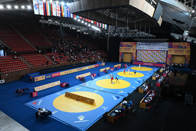 World Youth, Junior and Cadets SAMBO Championships in Yerevan has ended