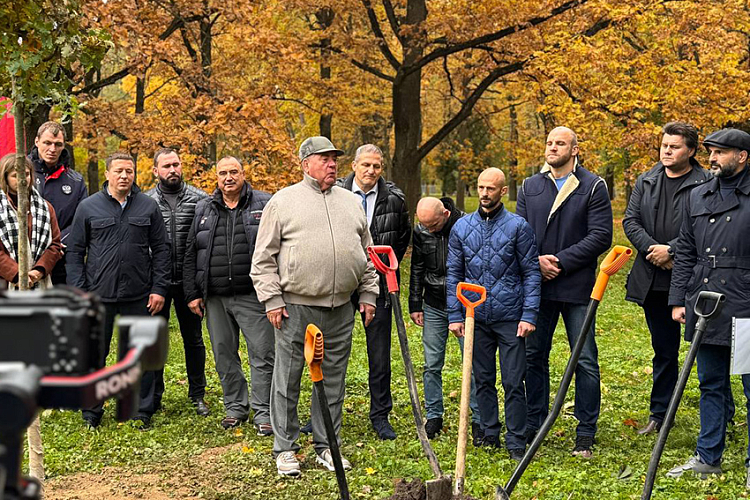 Президент ФИАС Василий Шестаков принял участие в акции «Дерево самбо»