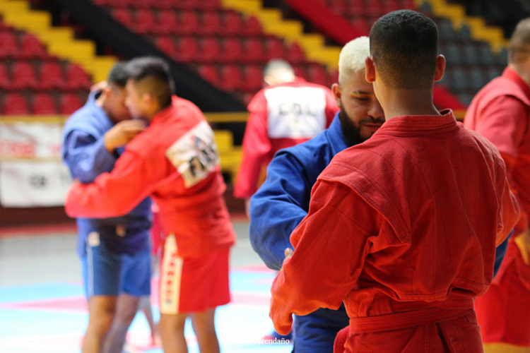 FIAS International Seminars for Coaches and Secretary Referees to be Held in Serbia